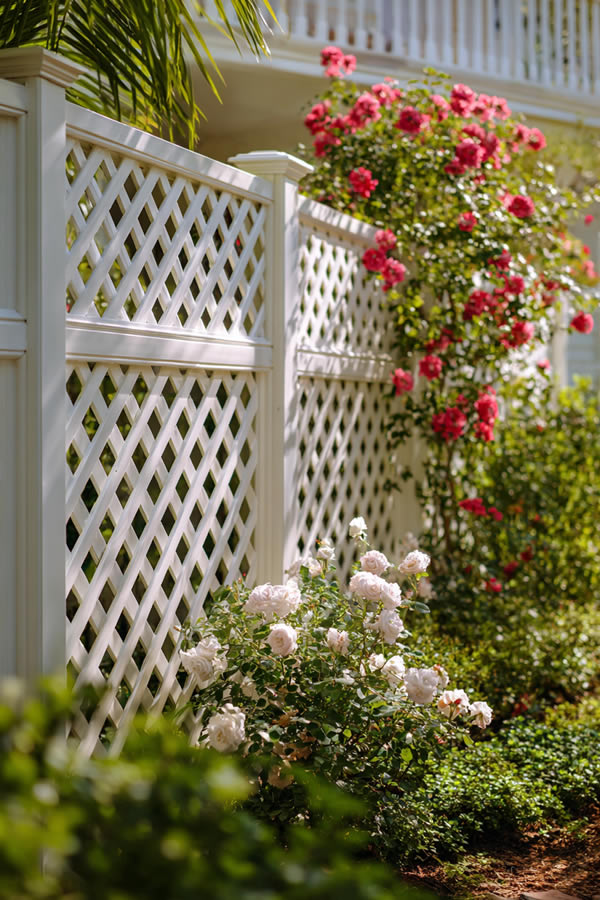 Decorative Fence Panels in Yard